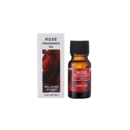 Aromatherapy essential oil humidifier.