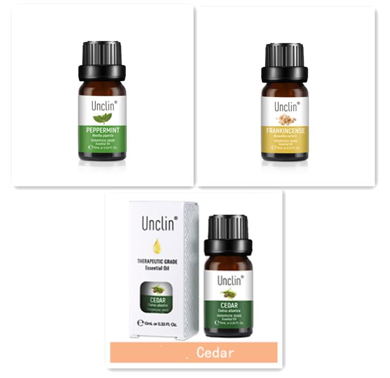Aromatherapy Plant Diffuse Square Oil - Lux Mart London
