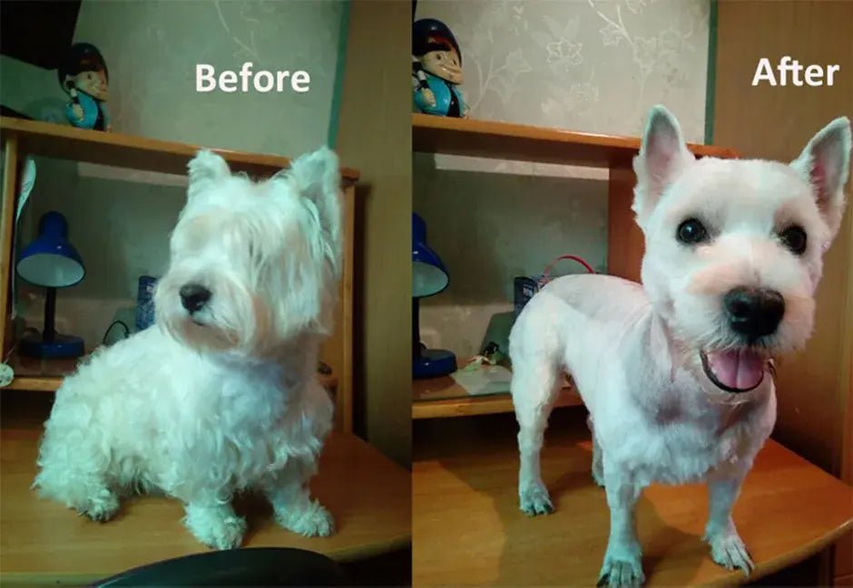 Dog Clipper Dog Hair Clippers Grooming (Pet/Cat/Dog/Rabbit) Haircut Trimmer Shaver Set PetsFader - Lux Mart London