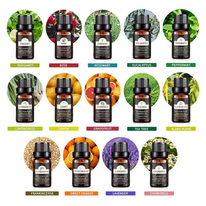 Single Essential Oil Set 10ml Single Essential Oil Plant Aroma Tea Tree.